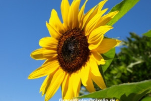 405732 web R K B by Grace Winter pixelio v2.de