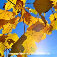 698754 web R K by Andreas Hermsdorf pixelio.de