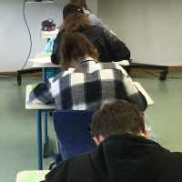 Quali BIld