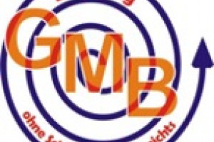 logo berching